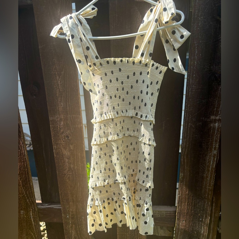Polka Dot Rose & Remington Dress